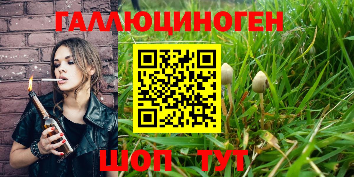 Псилоцибиновые грибы мухоморы  Вход с VPN  Бийск 